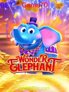 WonderElephant